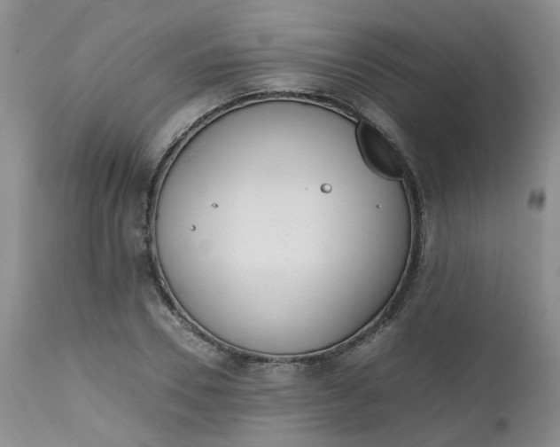 X0000112530930200908311419