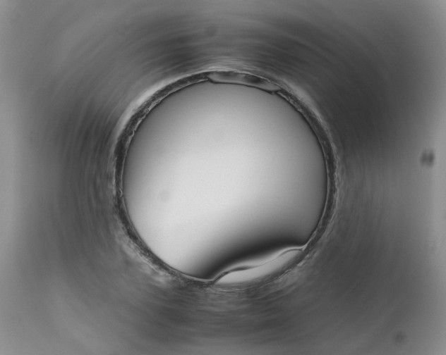 X0000112530931200908311419