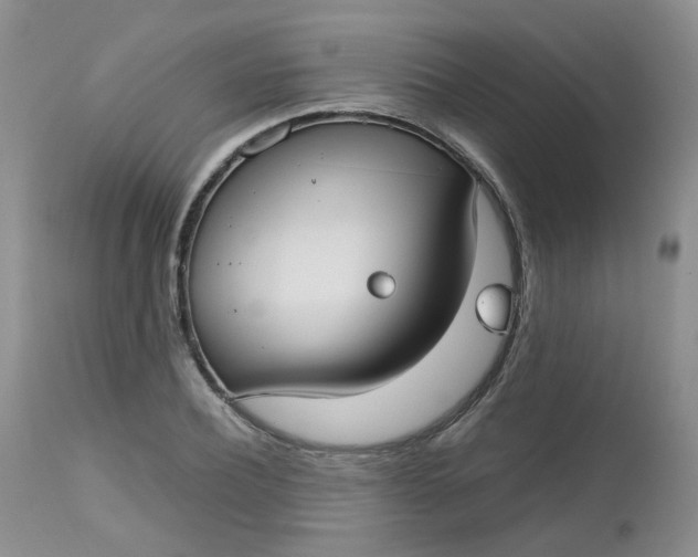 X0000112530932200908311419