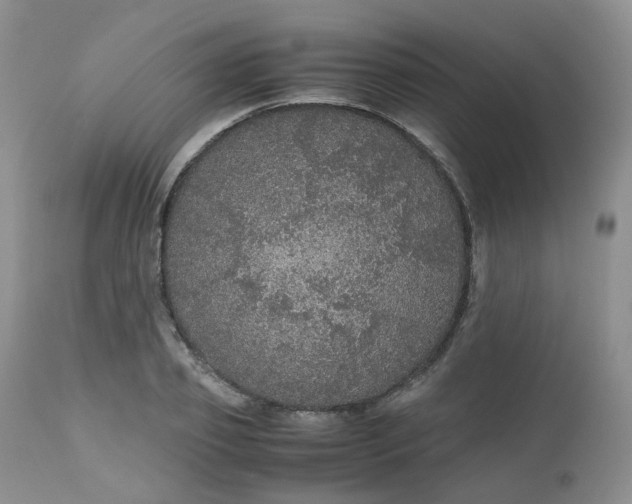 X0000112530933200908311419