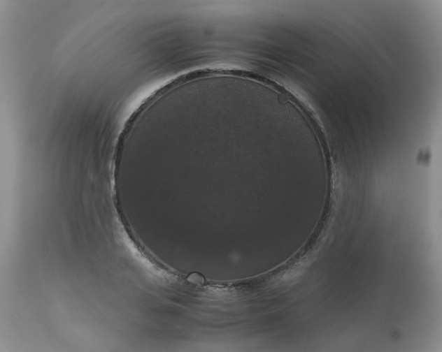 X0000112530935200908311419
