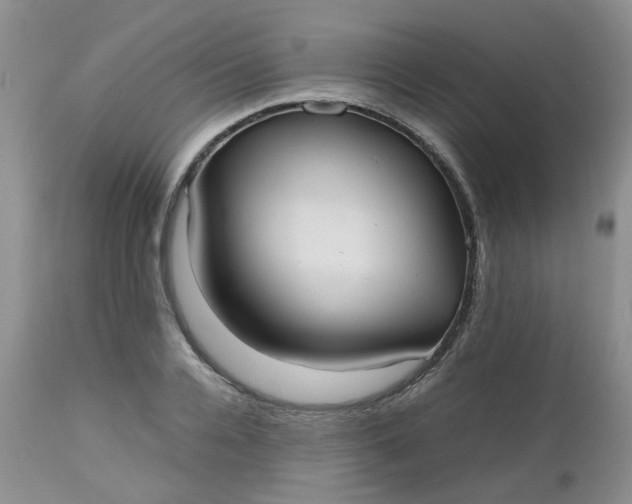 X0000112530936200908311419