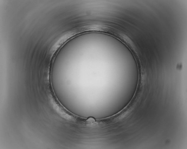 X0000112530938200908311419