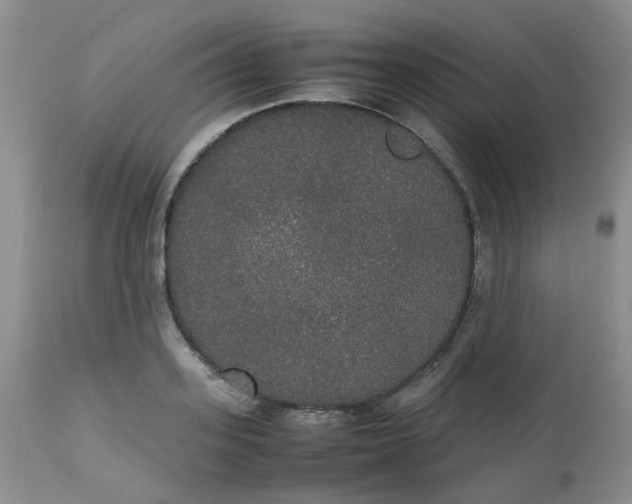 X0000112530939200908311419