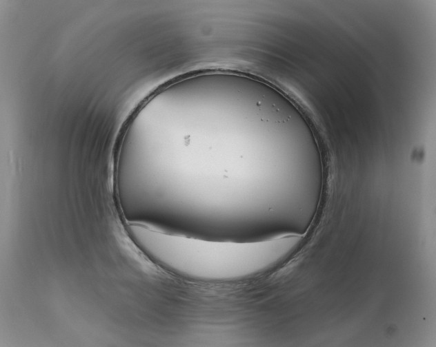 X0000112530940200908311419