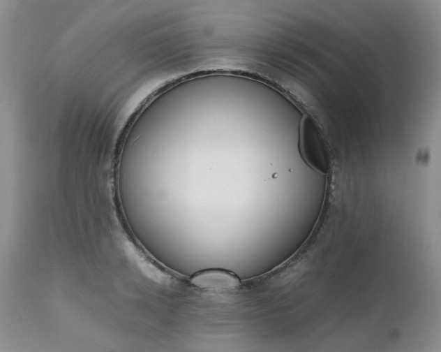 X0000112530942200908311419