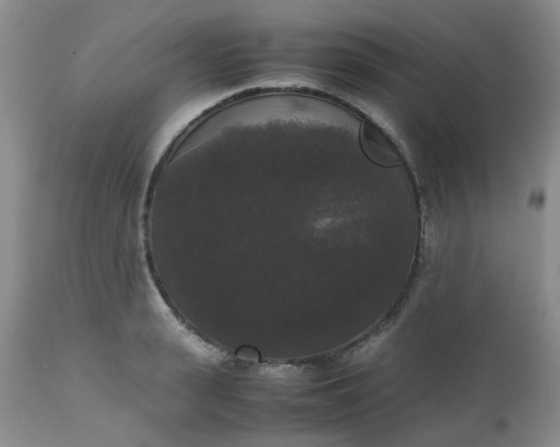 X0000112530943200908311419