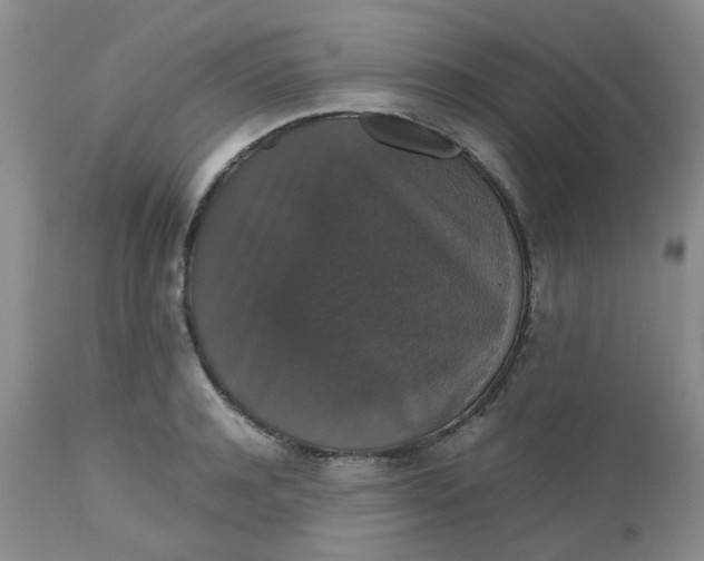 X0000112530944200908311419