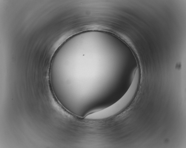 X0000112530946200908311419