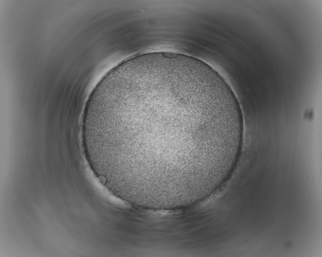 X0000112530949200908311419