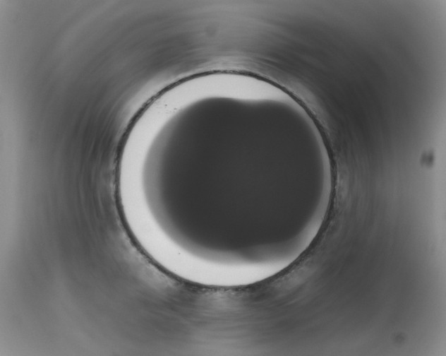 X0000112530950200908311419