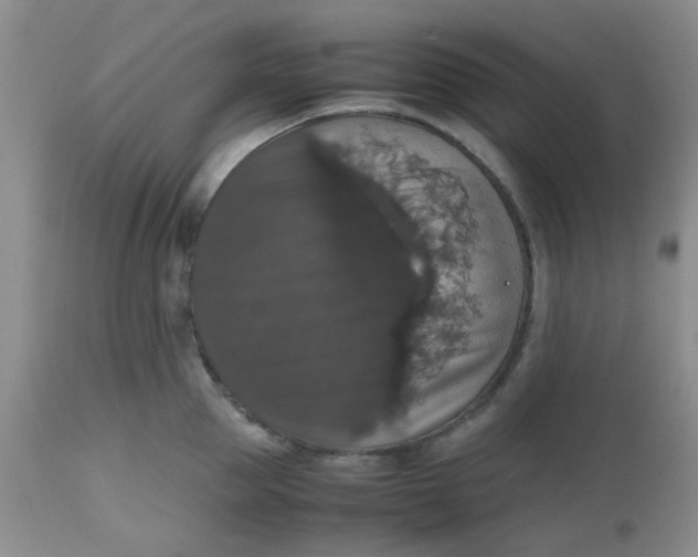 X0000112530953200908311420