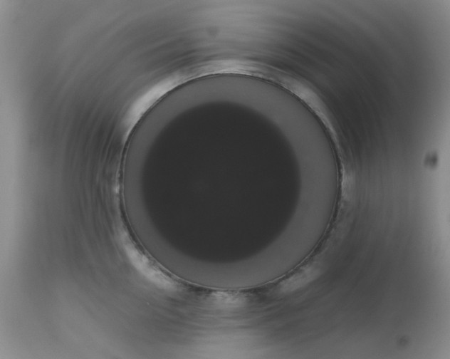 X0000112530954200908311420