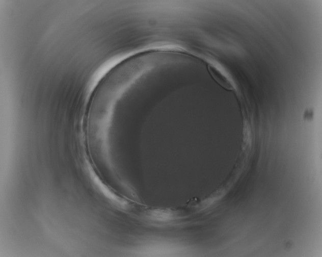 X0000112530959200908311420