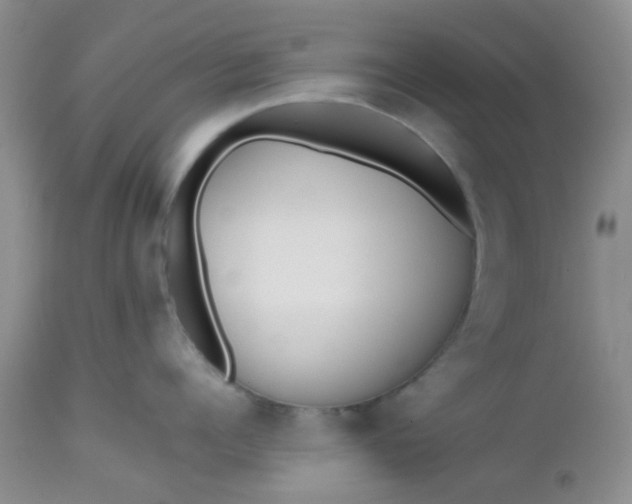 X0000112530960200908311420