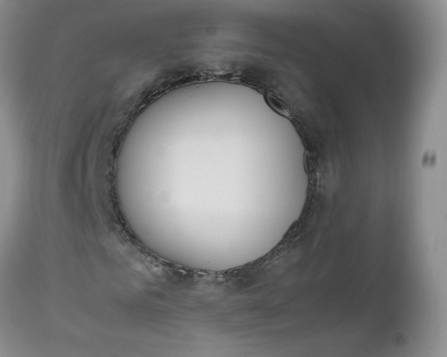 X0000112530961200908311419