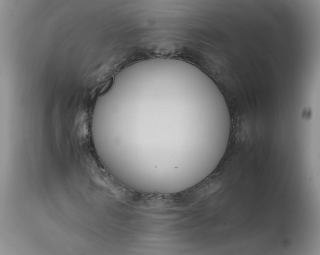X0000112530962200908311419