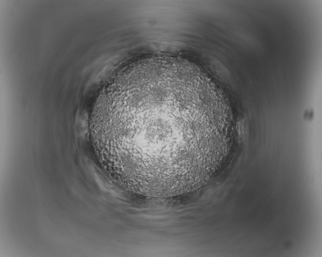 X0000112530963200908311419