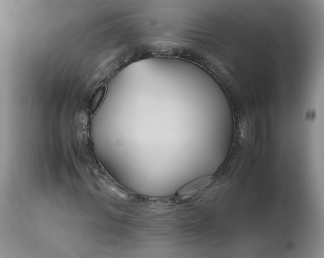 X0000112530964200908311419