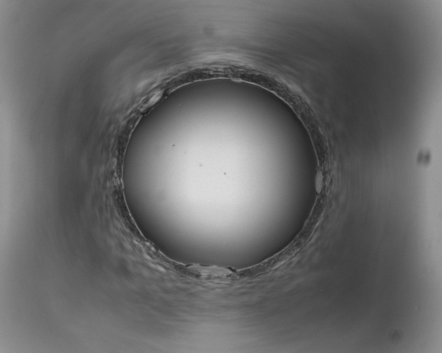 X0000112530965200908311419