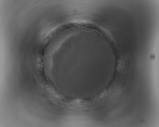X0000112530966200908311419