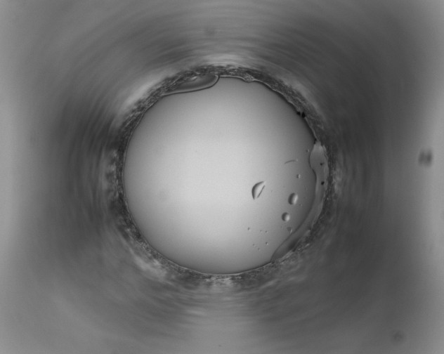 X0000112530968200908311419