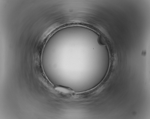 X0000112530969200908311419