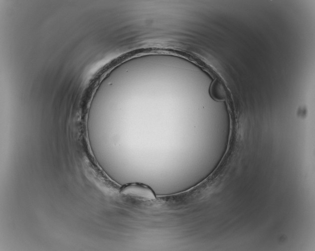 X0000112530971200908311419