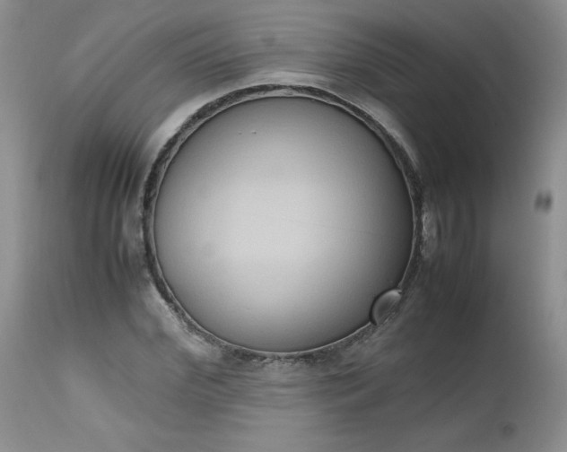 X0000112530972200908311419