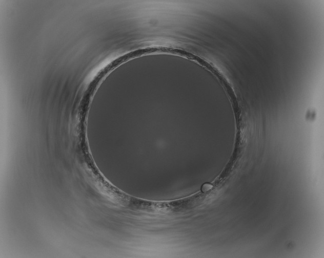X0000112530975200908311419