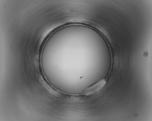X0000112530976200908311419