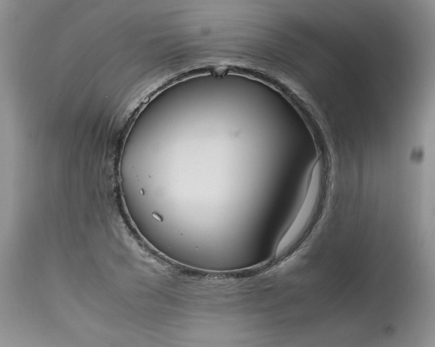 X0000112530977200908311419
