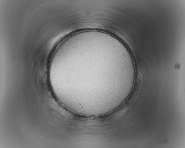 X0000112530979200908311419