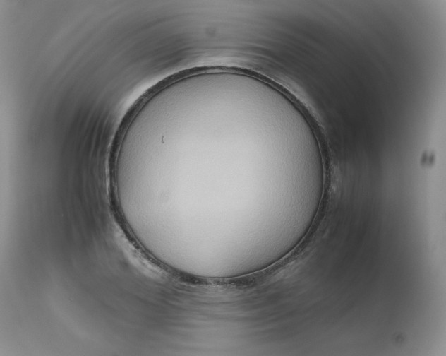 X0000112530980200908311419