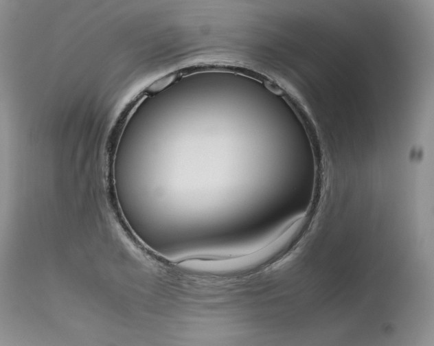 X0000112530981200908311419
