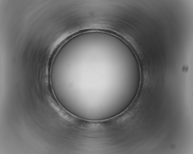 X0000112530982200908311419