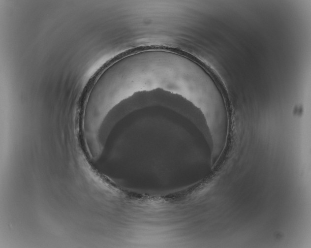 X0000112530983200908311419