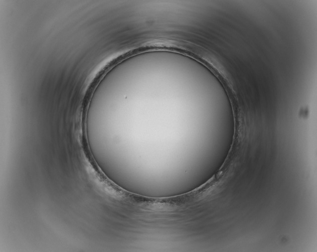 X0000112530984200908311419