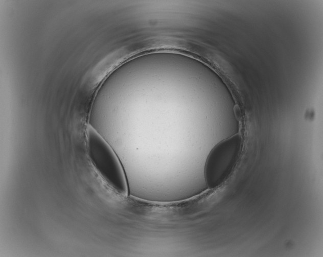X0000112530985200908311419