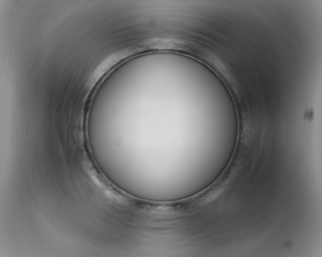X0000112530986200908311419