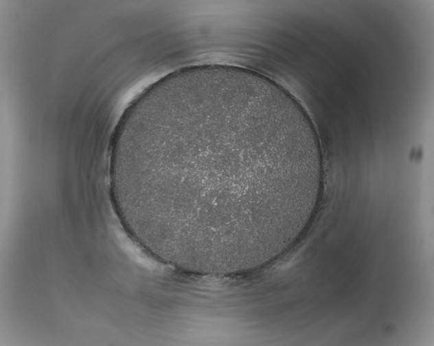 X0000112530987200908311419