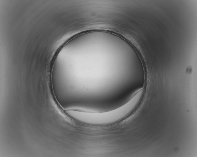 X0000112530989200908311419