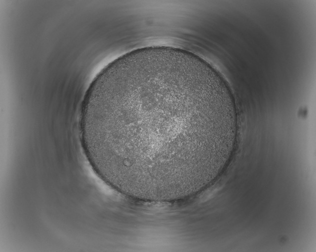 X0000112530991200908311419