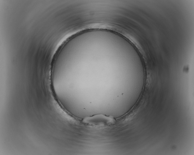 X0000112530992200908311419