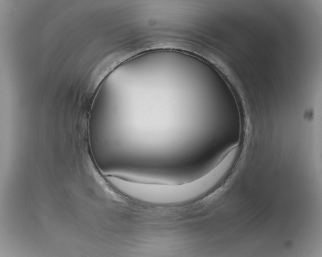 X0000112530993200908311419