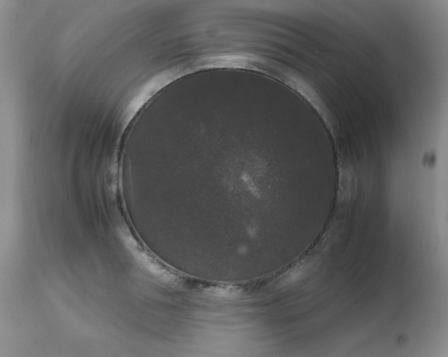 X0000112530994200908311418