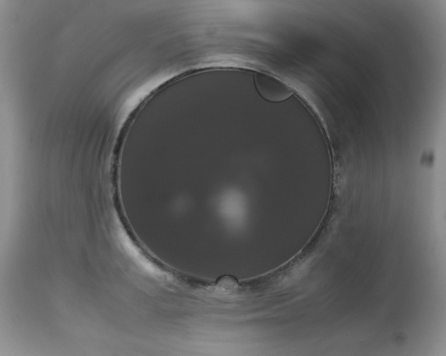 X0000112530995200908311418