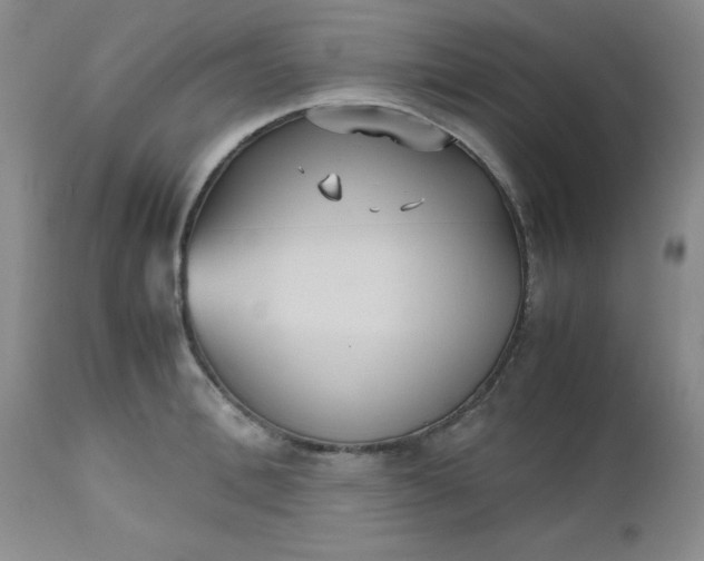X0000112530996200908311418