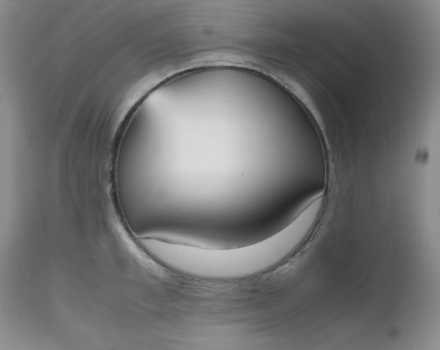 X0000112530997200908311418