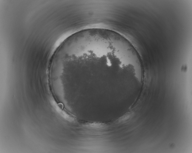X0000112530998200908311418